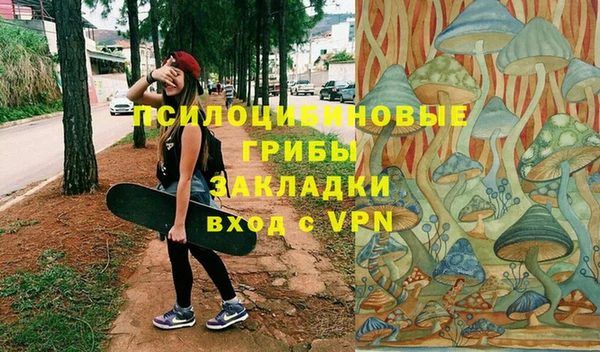 мдпв Пересвет