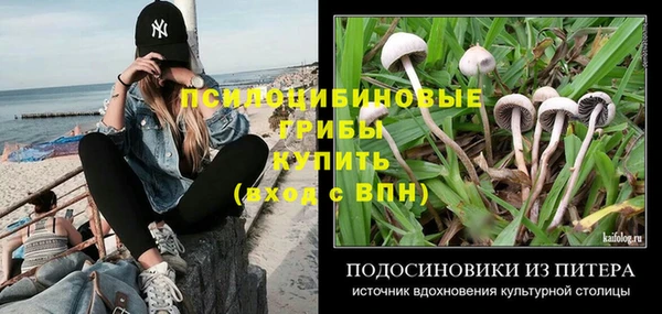 мдпв Пересвет