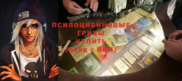 мдпв Пересвет