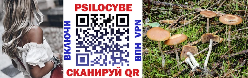 Псилоцибиновые грибы Psilocybine cubensis  MEGA ссылка  Чекалин 